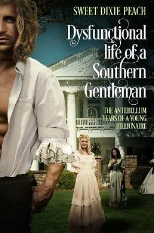Cover of Dysfunctional Life of a Southern Gentlemen