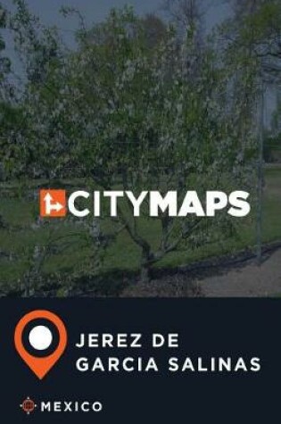 Cover of City Maps Jerez de Garcia Salinas Mexico