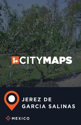 Book cover for City Maps Jerez de Garcia Salinas Mexico