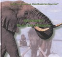 Book cover for Elephants Past and Present