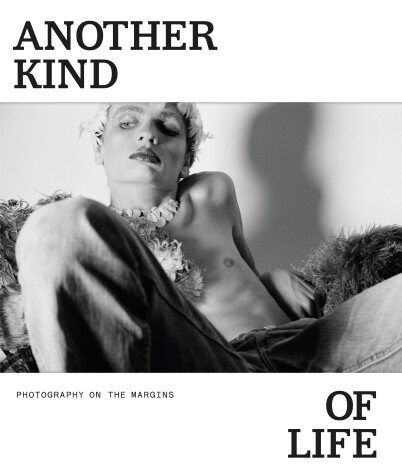 Book cover for Another Kind of Life