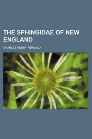 Cover of The Sphingidae of New England