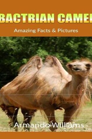 Cover of Bactrian Camel