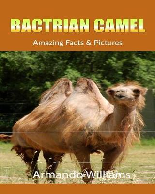 Book cover for Bactrian Camel