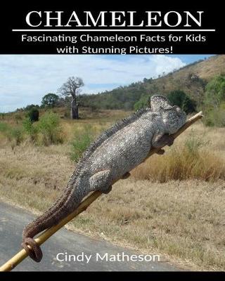 Book cover for Chameleon