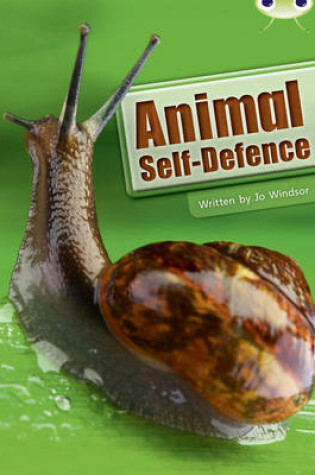 Cover of Bug Club Guided Non Fiction Year Two White B Animal Self Defence