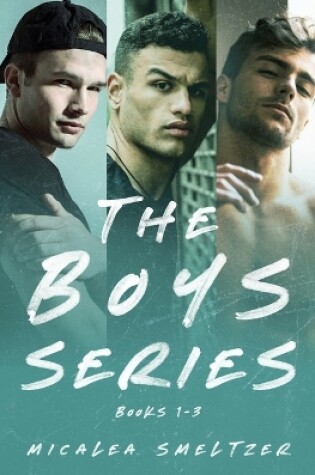 Cover of The Boys Series Omnibus (1-3)