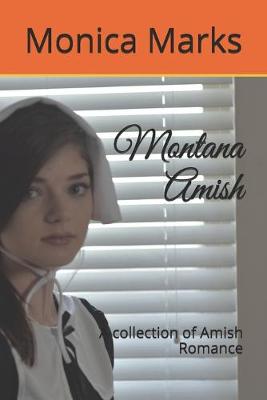 Book cover for Montana Amish