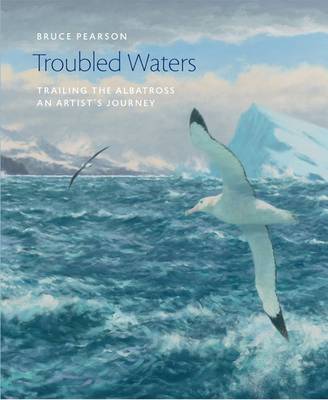 Book cover for Troubled Waters