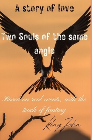 Cover of Two Souls of the same angle