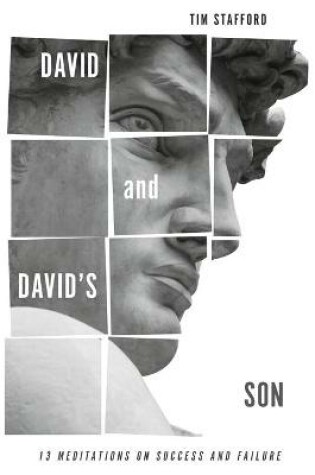 Cover of David and David's Son