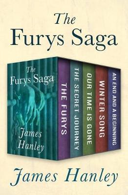 Book cover for The Furys Saga