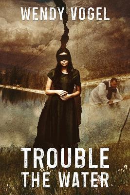 Book cover for Trouble the Water