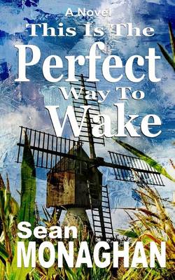 Book cover for This Is The Perfect Way To Wake