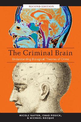 Book cover for The Criminal Brain, Second Edition