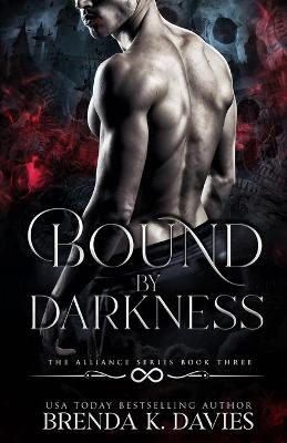 Book cover for Bound by Darkness