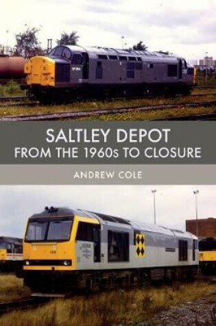 Cover of Saltley Depot
