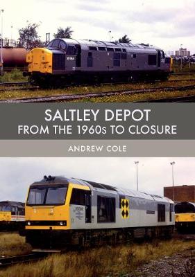 Book cover for Saltley Depot