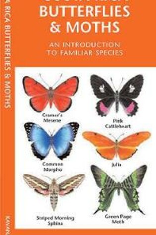 Cover of Costa Rica Butterflies & Moths