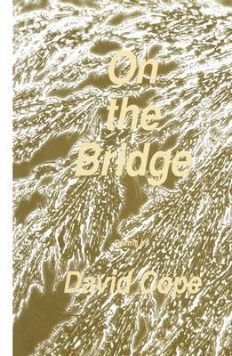 Book cover for On the Bridge