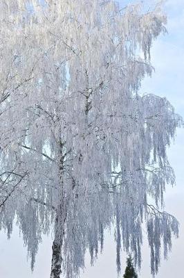 Book cover for Birch Tree in Winter Covered in Ice Journal