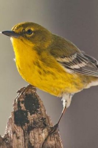 Cover of Pine Warbler (Dendroica Pinus) Bird Journal