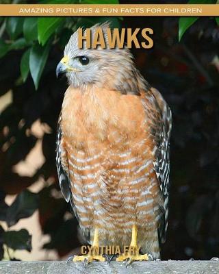 Book cover for Hawks