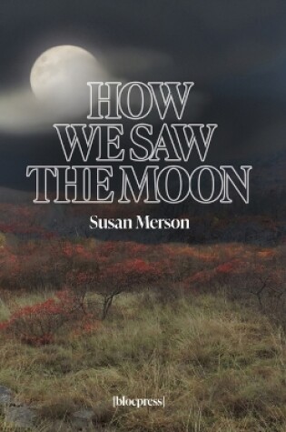 Cover of How We Saw the Moon