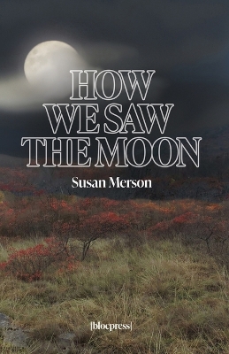 Book cover for How We Saw the Moon