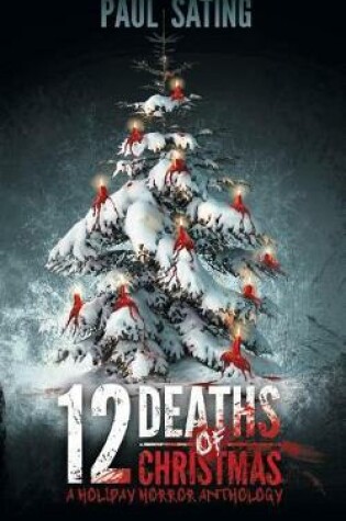 Cover of 12 Deaths of Christmas