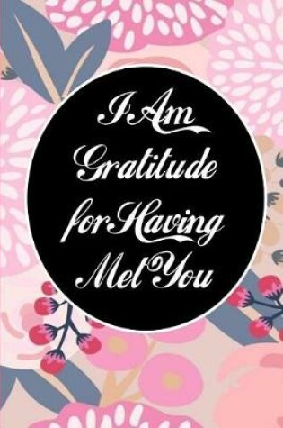 Cover of I Am Gratitude for Having Met You