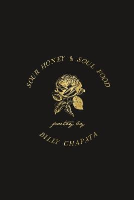 Book cover for Sour Honey & Soul Food