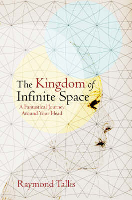 Book cover for The Kingdom of Infinite Space