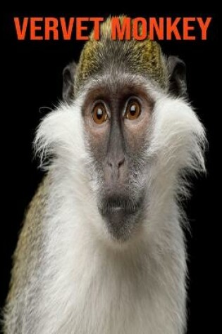 Cover of Vervet Monkey