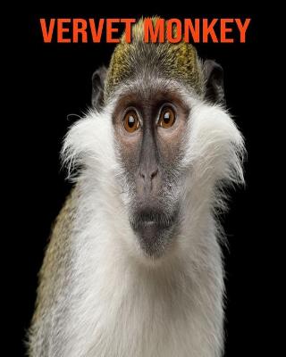 Book cover for Vervet Monkey