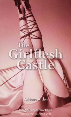 Book cover for The Girlflesh Castle