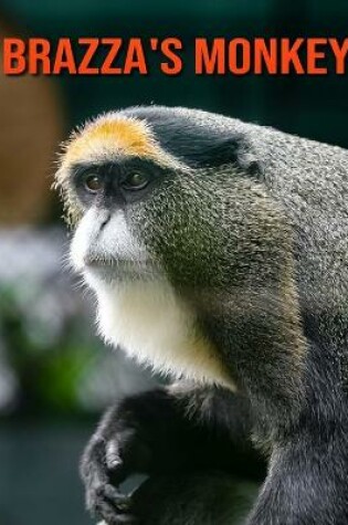 Cover of Brazza's Monkey