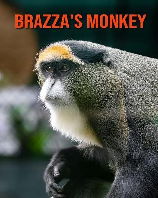 Book cover for Brazza's Monkey