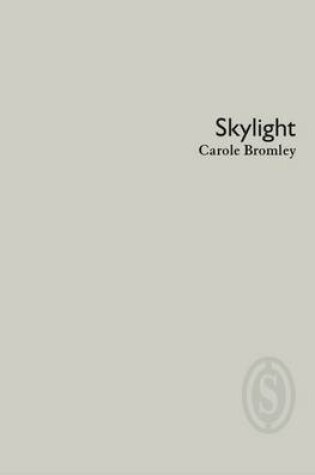 Cover of Skylight