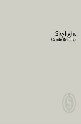 Book cover for Skylight