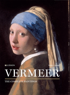 Book cover for Vermeer