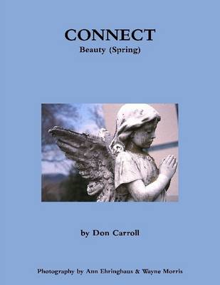 Book cover for Connect: Beauty Spring