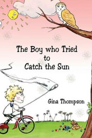 Cover of The Boy who Tried to Catch the Sun