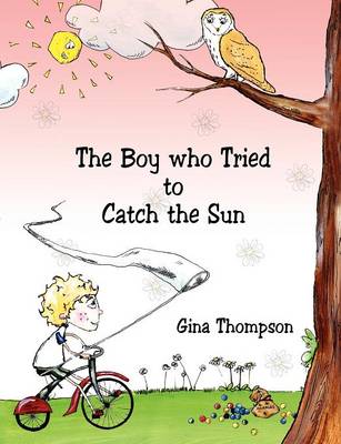 Book cover for The Boy who Tried to Catch the Sun