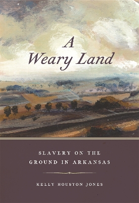 Book cover for A Weary Land
