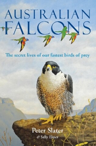 Cover of Australian Falcons