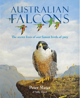 Book cover for Australian Falcons