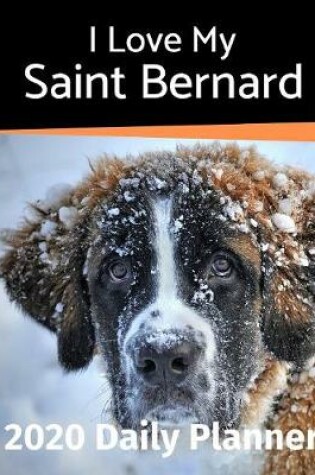 Cover of I Love My Saint Bernard
