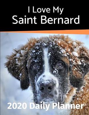 Cover of I Love My Saint Bernard