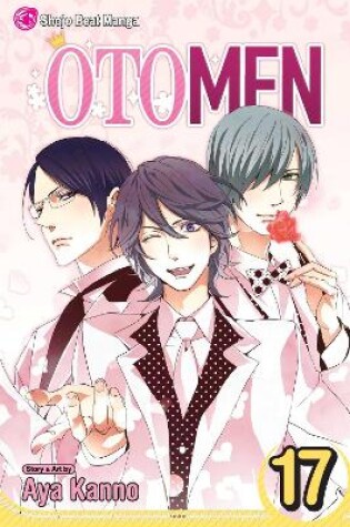 Cover of Otomen, Vol. 17